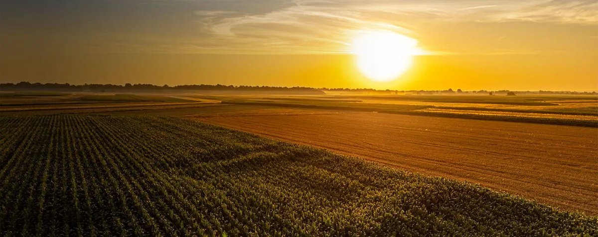 Beyond the Standard: Turning LSRS & FLAG Into Supply-Chain Advantage in 2027