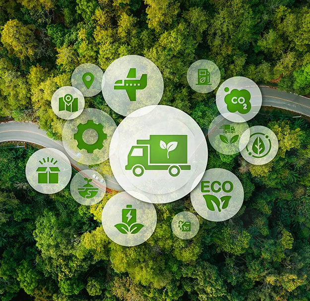 Accredited EcoVadis Consulting and Support 