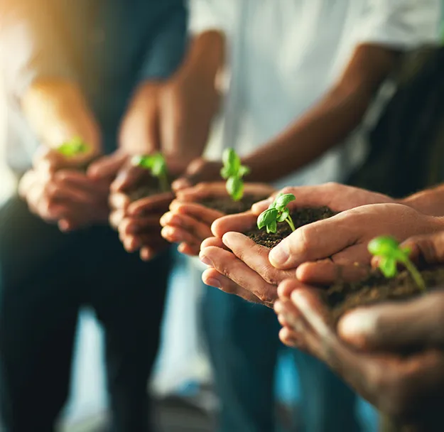 Leverage Carbon and Sustainability Expertise for Effective Software Integration